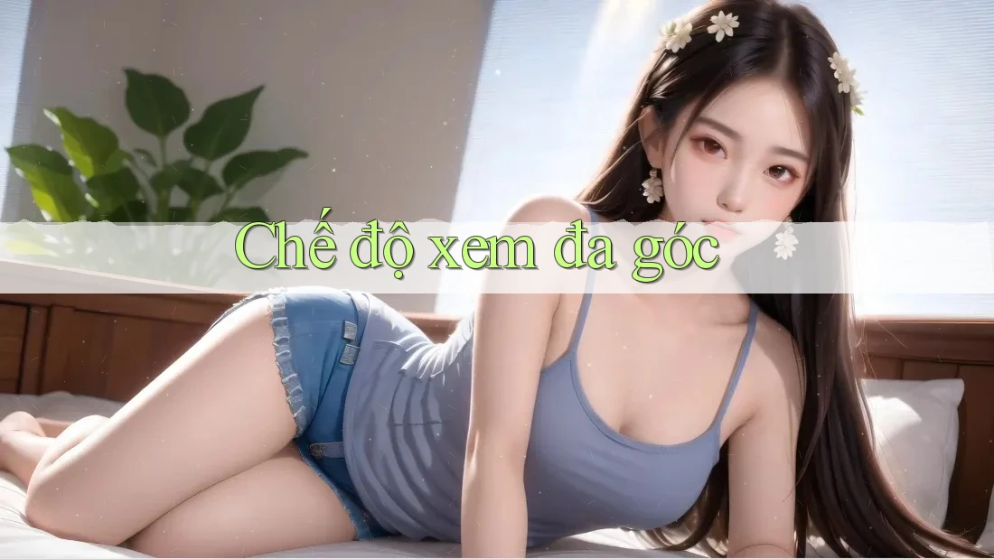 Chế độ xem đa góc