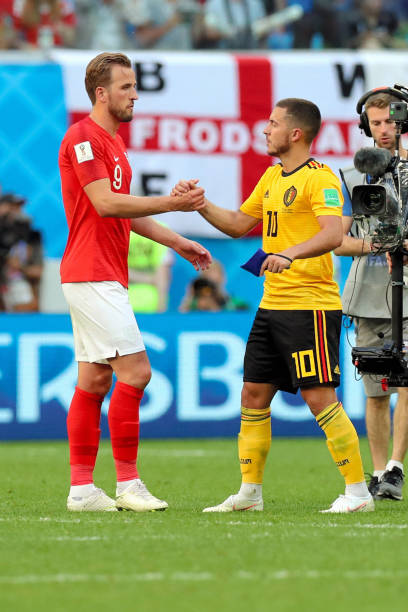 绣球的文化 绣球的文化